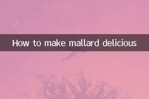 绿头鸭怎么做好吃