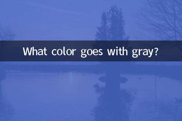 কি রং ধূসর সঙ্গে যায়?