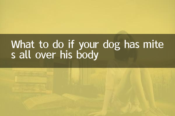 狗狗全身螨虫怎么办