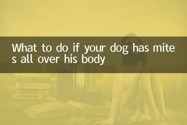狗狗全身螨虫怎么办