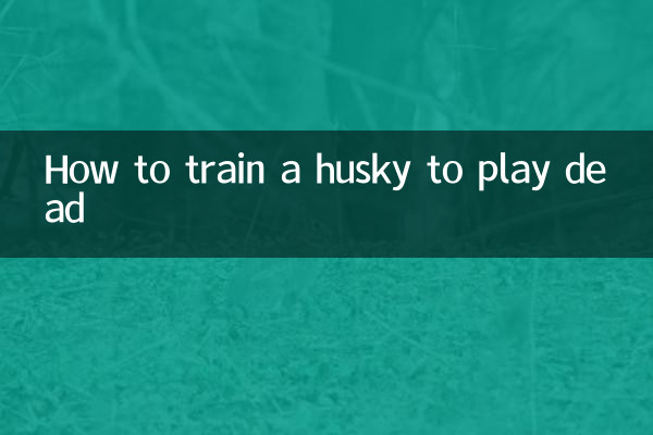 ایک ہسکی کو مردہ کھیلنے کے لئے کس طرح تربیت دیں