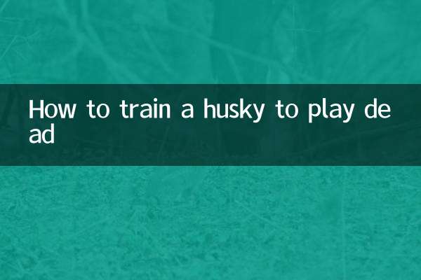 ایک ہسکی کو مردہ کھیلنے کے لئے کس طرح تربیت دیں