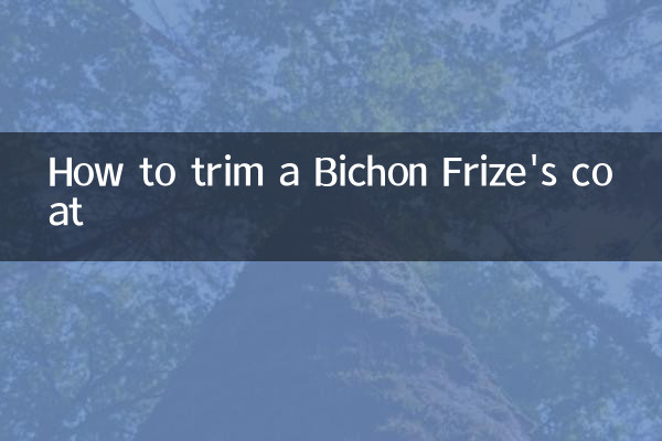 How to trim a Bichon Frize's coat