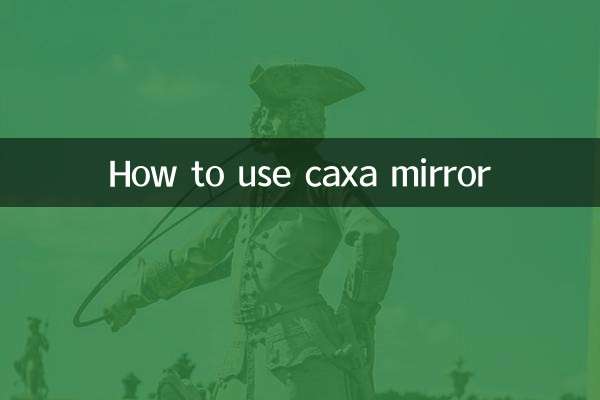 CAXA 거울 사용법