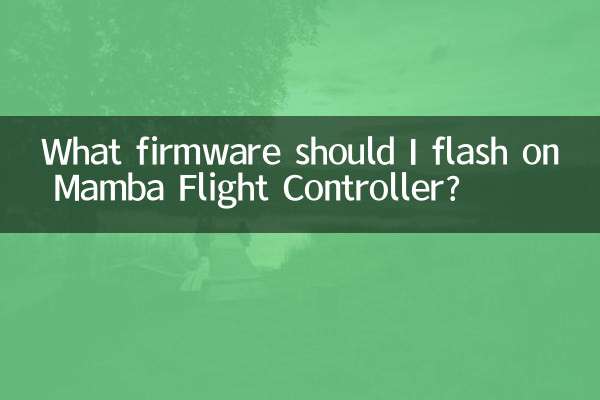 Quel firmware dois-je flasher sur le Mamba Flight Controller ?