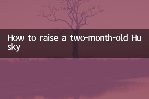Wie man einen zwei Monate alten Husky großzieht