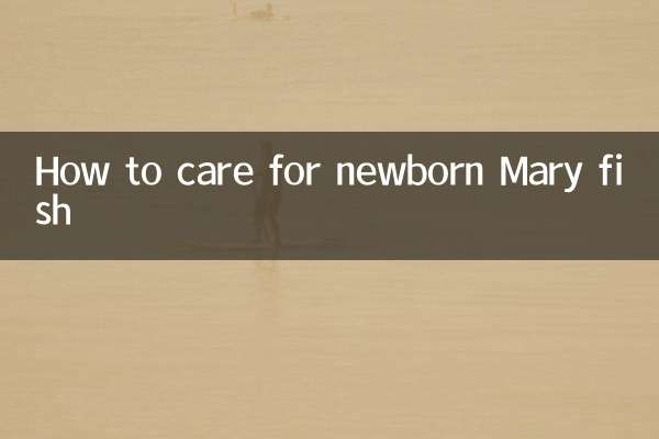 生まれたばかりのメリーフィッシュの世話の仕方