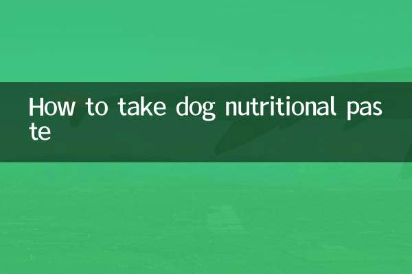 강아지 영양제 섭취방법