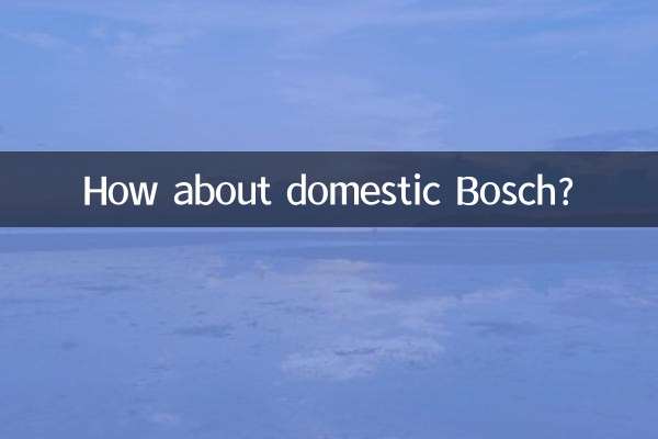 بوش داخلی چطور؟