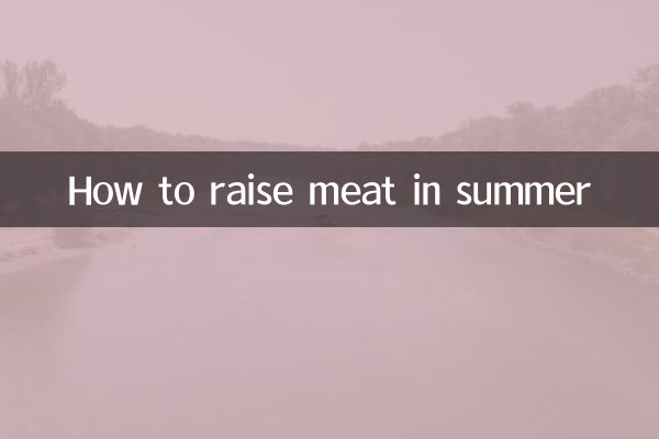 夏天肉肉怎麼養