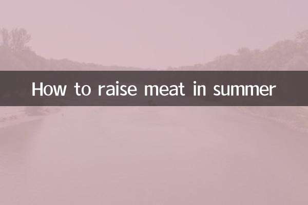 كيفية تربية اللحوم في الصيف