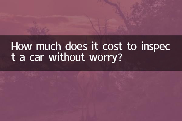 Wie viel kostet es, ein Auto ohne Sorgen zu inspizieren?