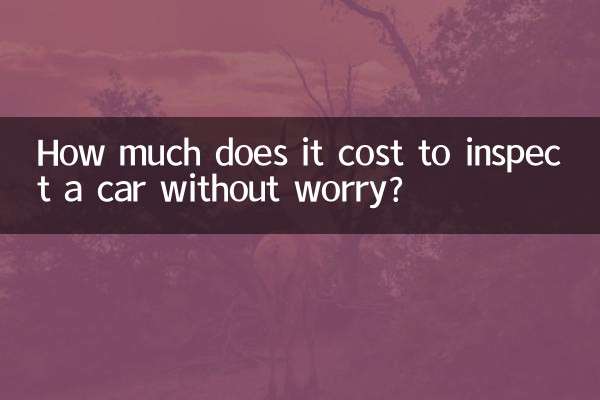 检车无忧怎么收费