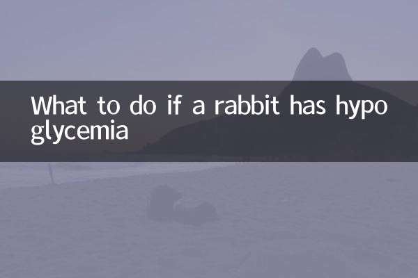 Qué hacer si un conejo tiene hipoglucemia