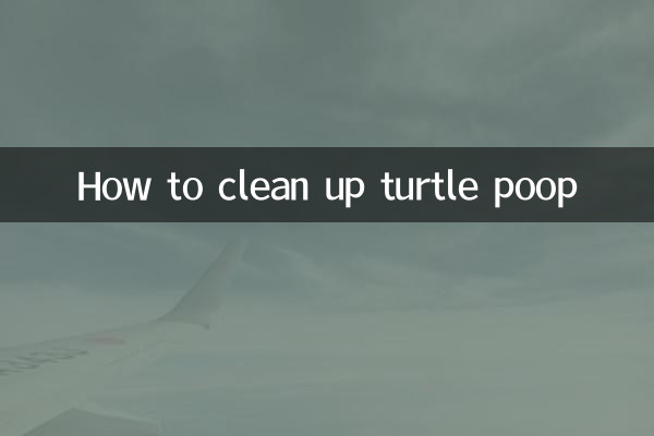 Как очистить экскременты черепахи