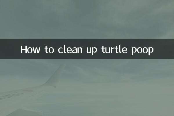 چگونه مدفوع لاک پشت را پاک کنیم