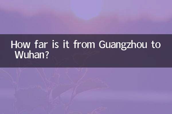 광저우에서 우한까지의 거리는 얼마나 되나요?