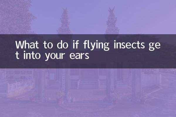 Was tun, wenn fliegende Insekten in Ihre Ohren gelangen?