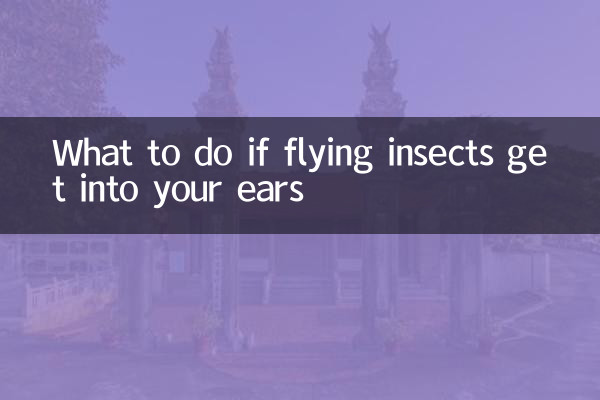 Que faire si des insectes volants pénètrent dans vos oreilles
