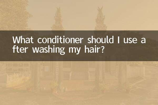 머리를 감은 후에는 어떤 컨디셔너를 사용해야 합니까?