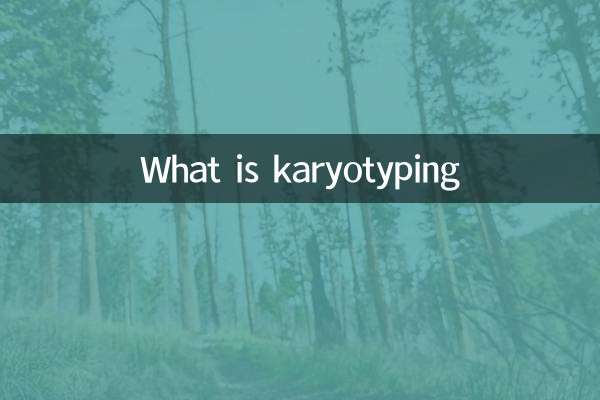 什麼是核型分析