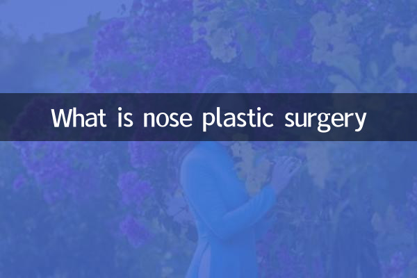 什麼是鼻子整形