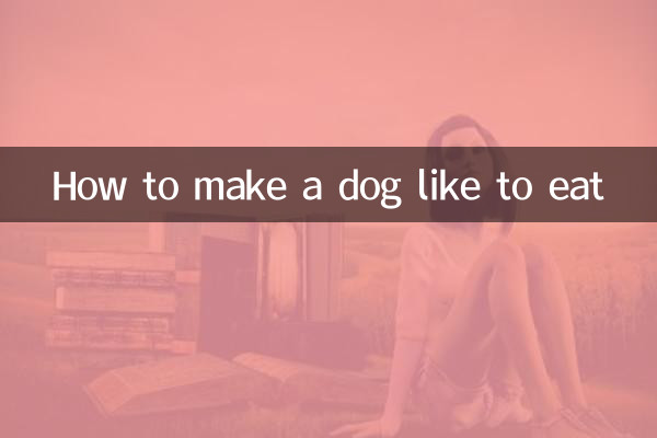 Comment donner envie à un chien de manger