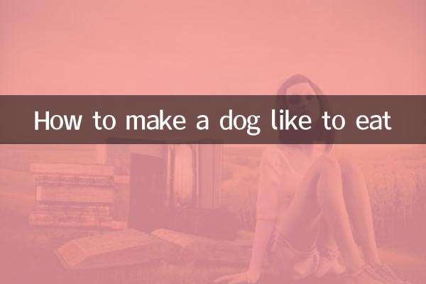 Comment donner envie à un chien de manger