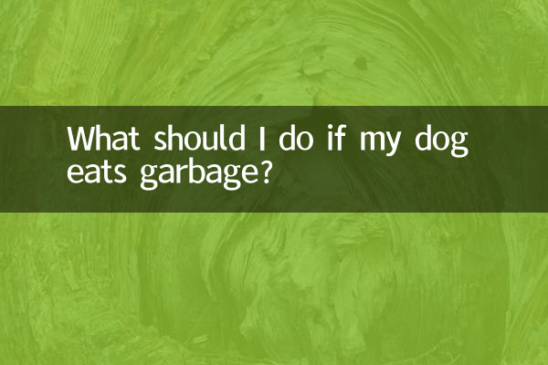 اگر میرا کتا کوڑا کرکٹ کھاتا ہے تو مجھے کیا کرنا چاہئے؟