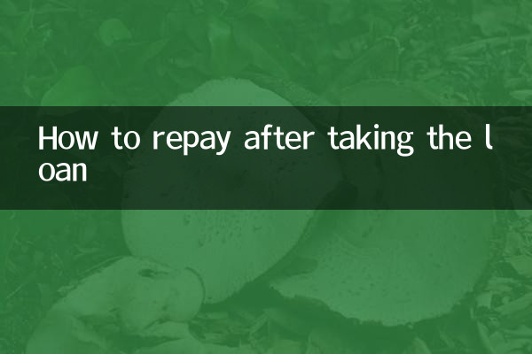 貸款後是怎麼還款的