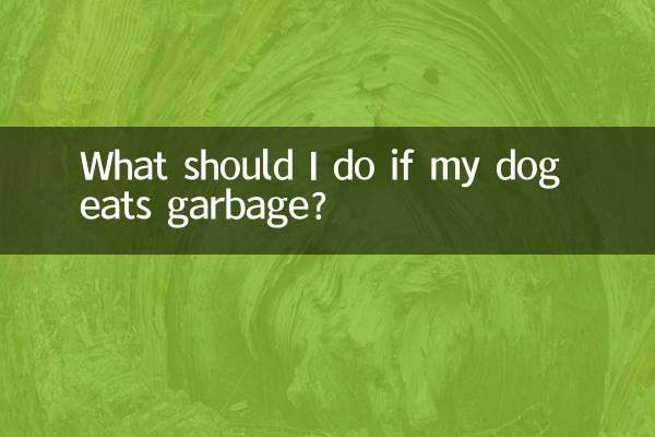 اگر میرا کتا کوڑا کرکٹ کھاتا ہے تو مجھے کیا کرنا چاہئے؟