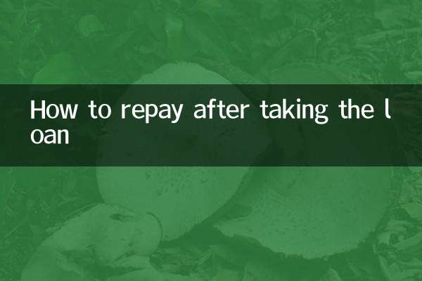 貸款後是怎麼還款的