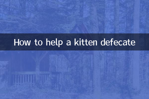 কিভাবে একটি বিড়ালছানা মলত্যাগে সাহায্য করবেন