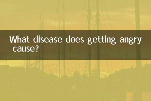 Che malattia provoca la rabbia?