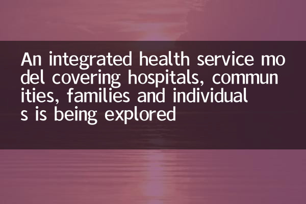 Ein integriertes Gesundheitsdienstmodell für Krankenhäuser, Gemeinden, Familien und Einzelpersonen wird untersucht