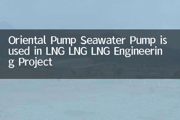 Orientalpumpe Meerwasserpumpe wird im LNG LNG LNG Engineering -Projekt verwendet