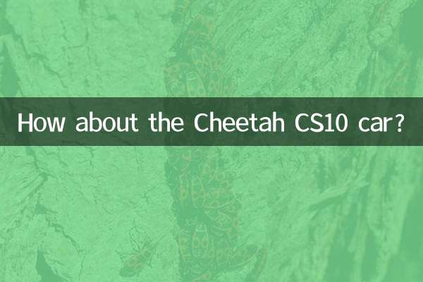 Que tal o carro Cheetah CS10?