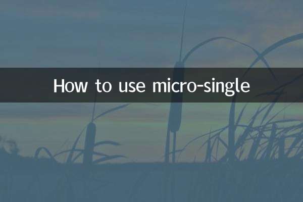 Como usar o micro-single