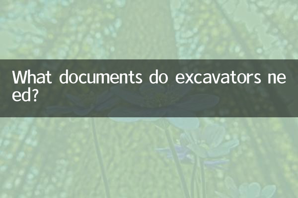 ما هي المستندات التي تحتاجها الحفارات؟