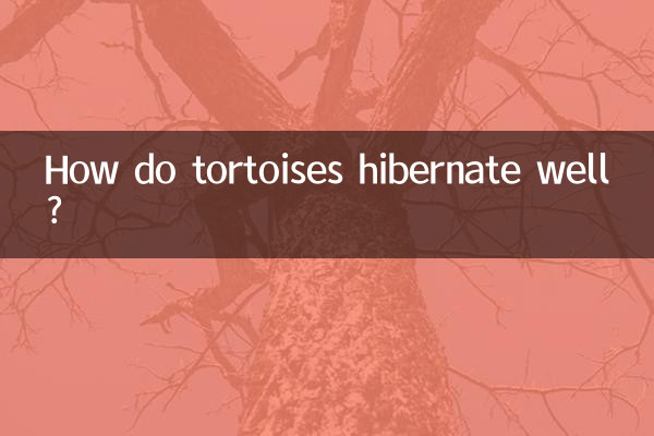 ¿Cómo hibernan bien las tortugas?