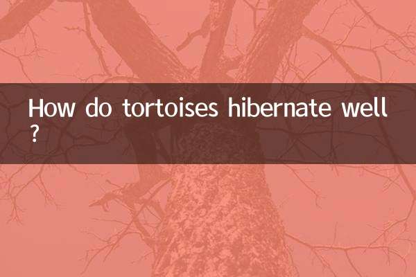 Comment les tortues hibernent-elles bien ?