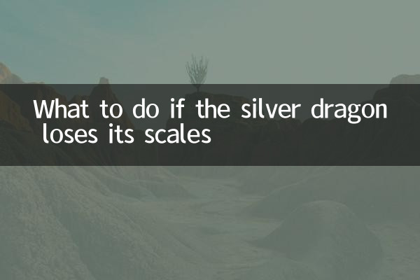 What to do if the silver dragon loses its scales