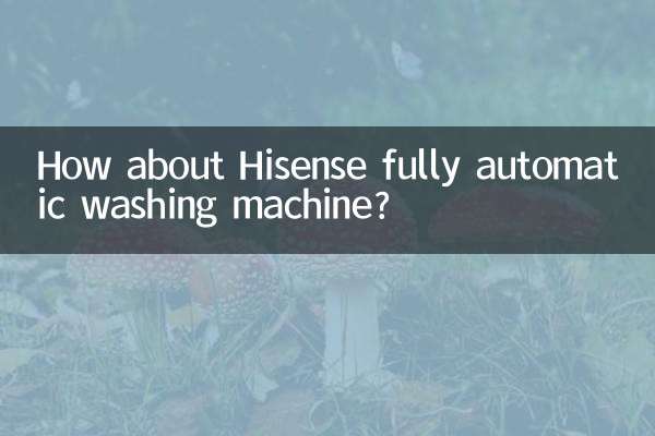 How about Hisense fully automatic washing machine?