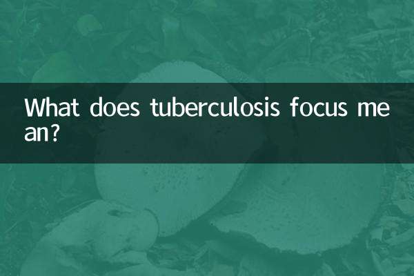 Cosa significa focus sulla tubercolosi?