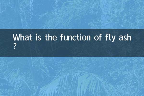 فلائی ایش کا کام کیا ہے؟