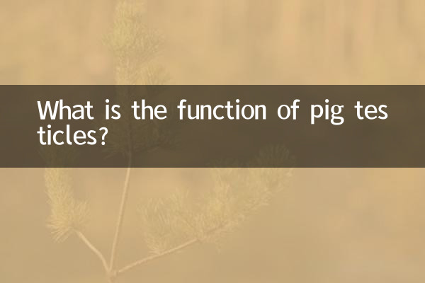 ¿Cuál es la función de los testículos de los cerdos?
