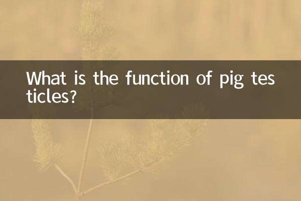 ما هي وظيفة خصية الخنزير؟