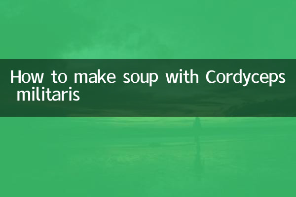 طرز تهیه سوپ با کوردیپس میلیتاریس