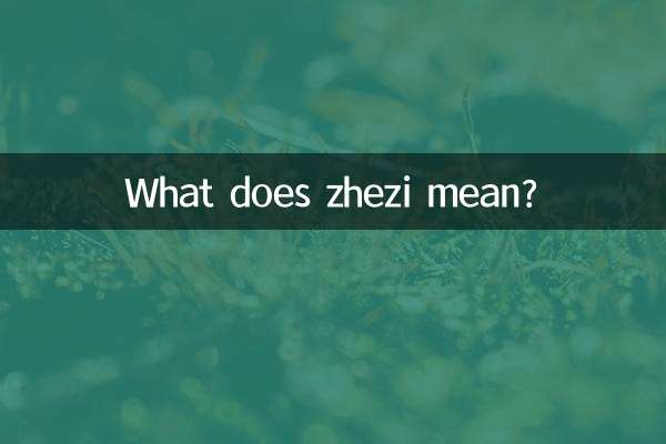 ژزی یعنی چی؟