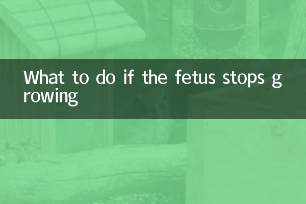 태아의 성장이 멈춘 경우 대처 방법